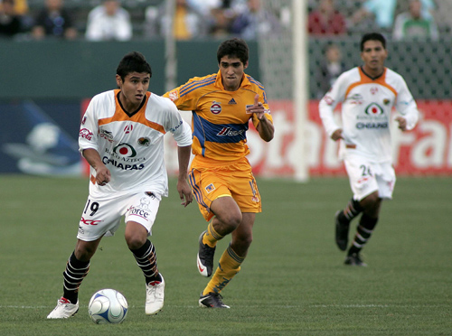 Chiaps, Tigres
