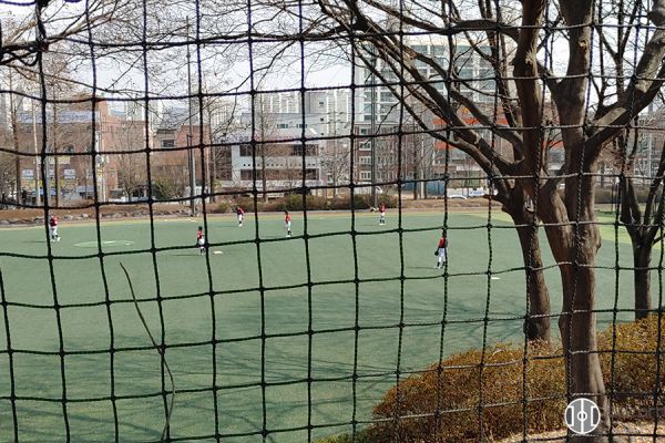 baseballFFAC4D45-EE6E-5A41-2F0A-0C04C532A0C6.jpg